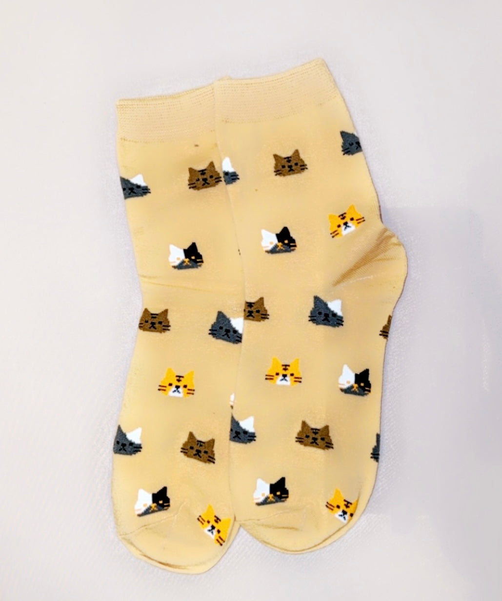 Orange cat socks