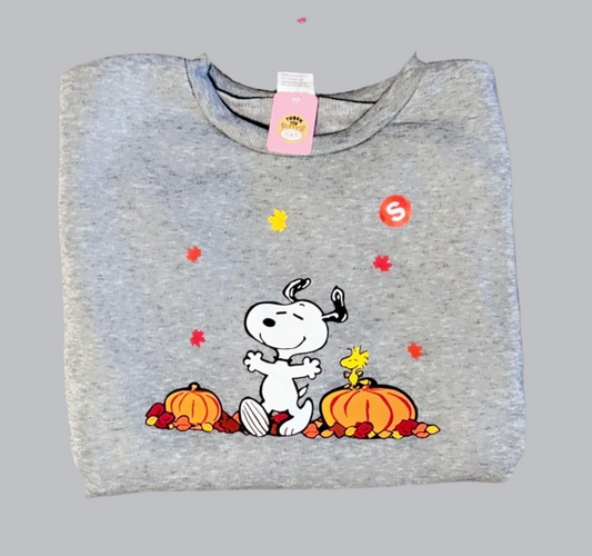 Snoopy Fall Grey Sweater