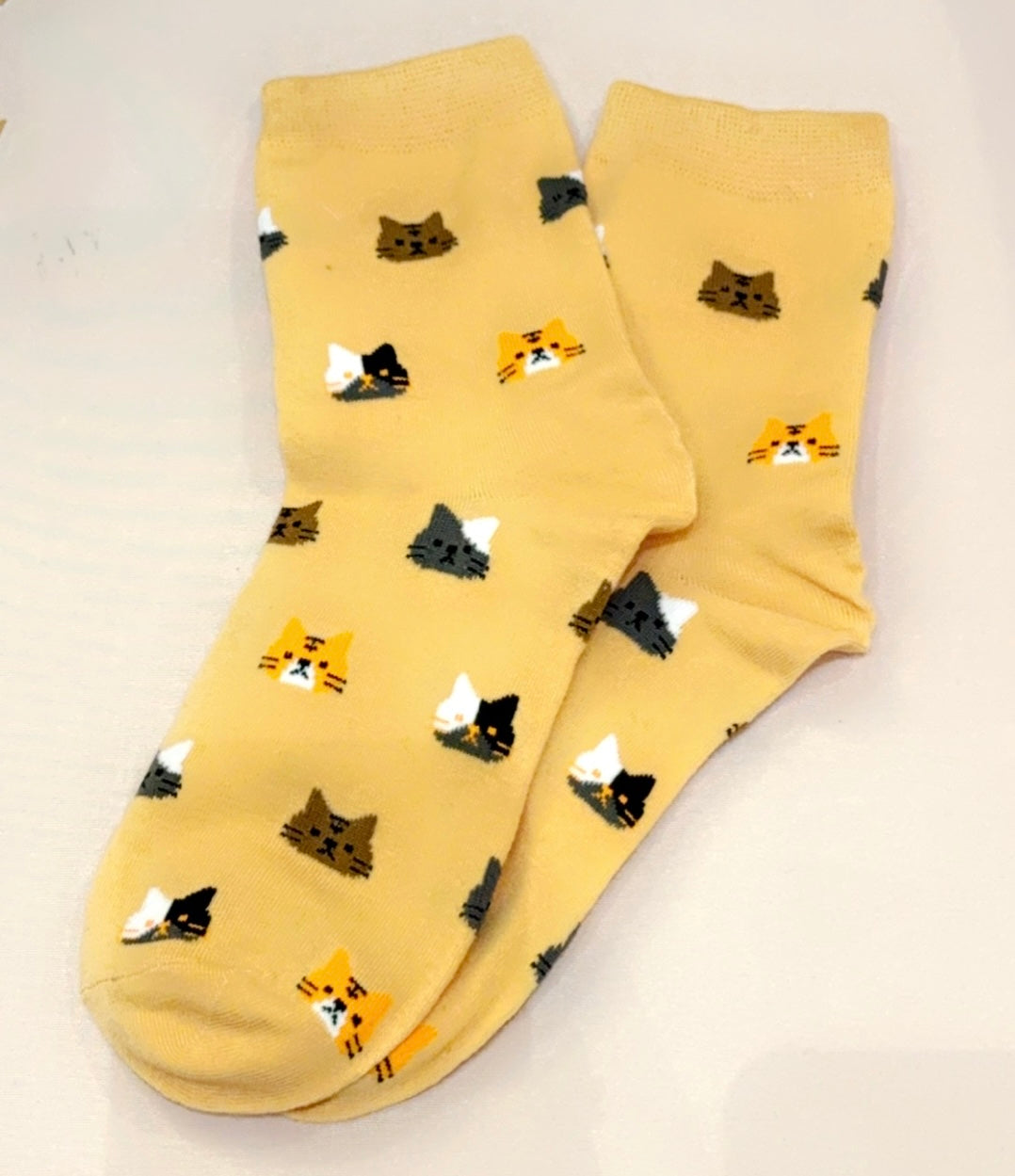 Orange cat socks
