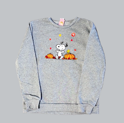 Snoopy Fall Grey Sweater